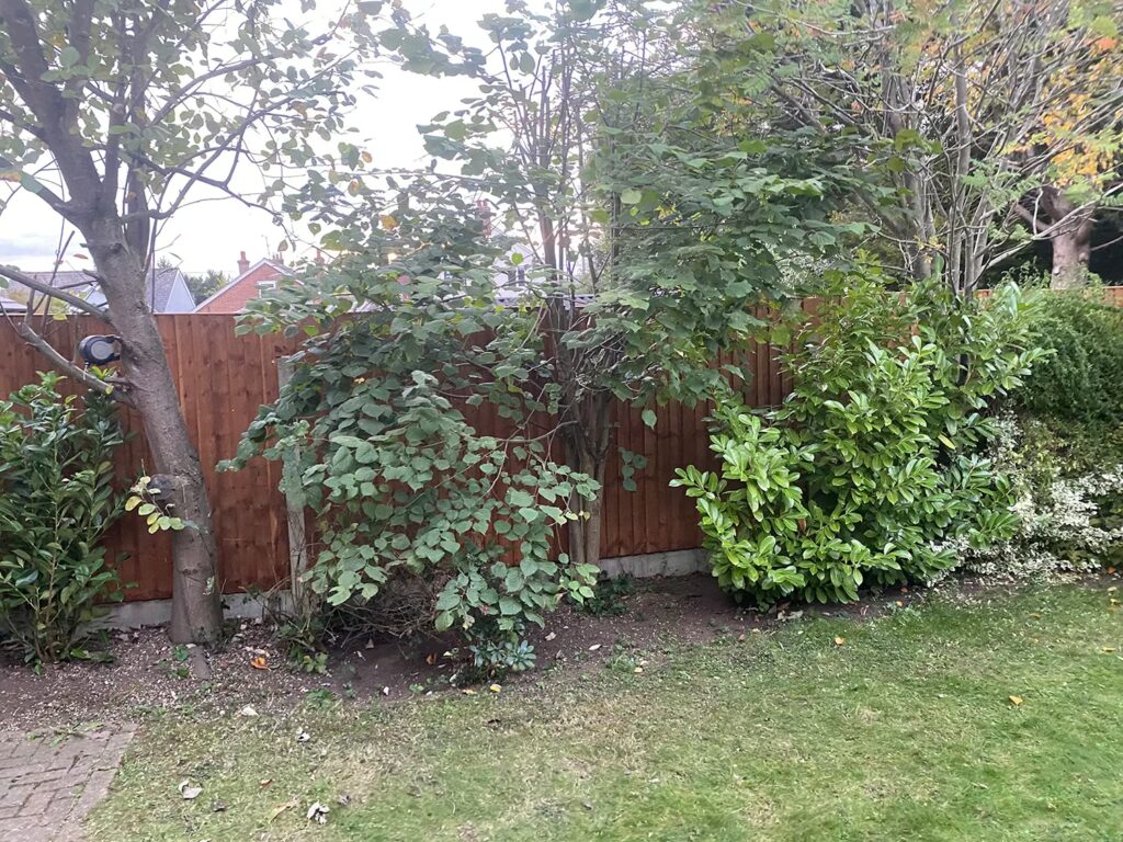Fencing