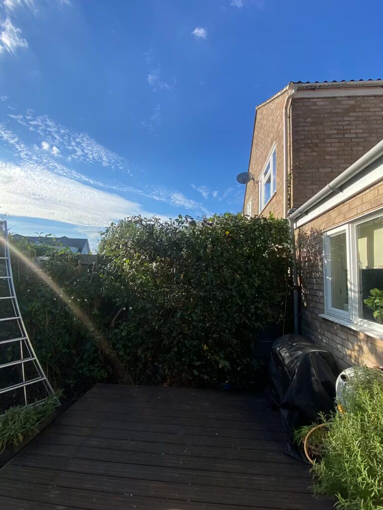 Hedge Maintenance Essex - After