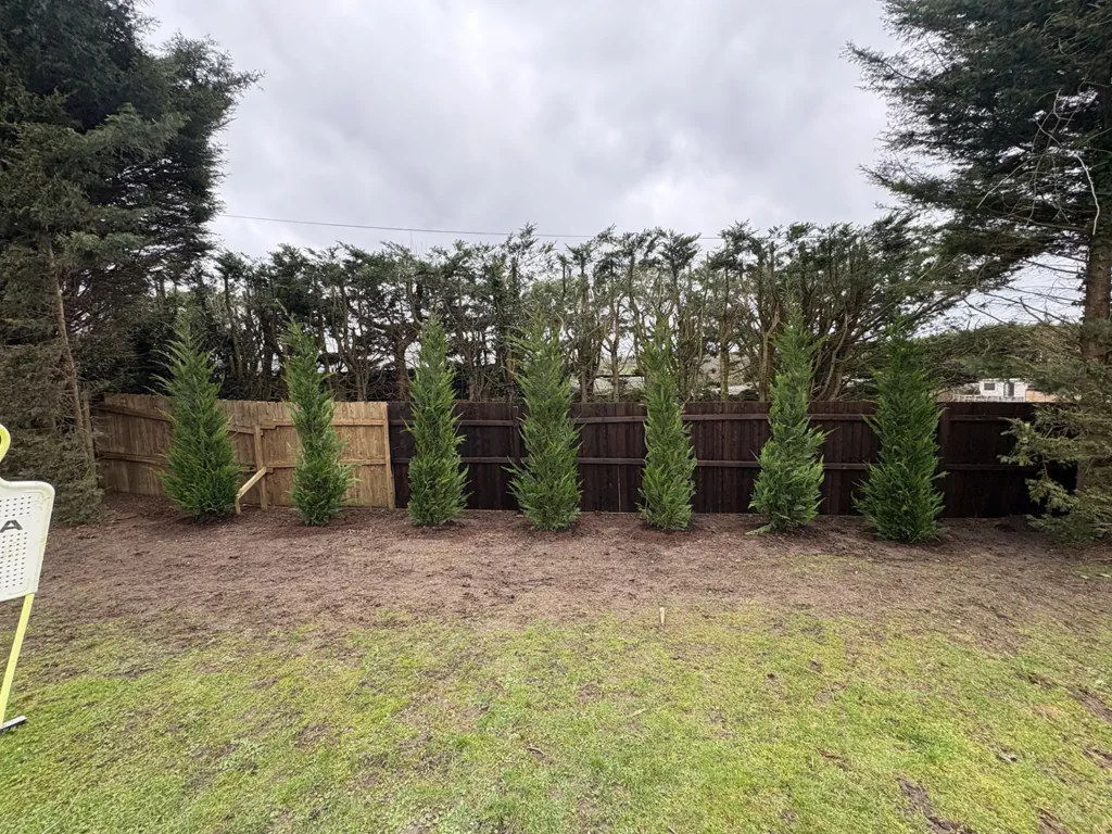 Small Landscaping Projects