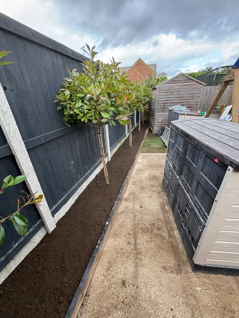 Small Landscaping Projects