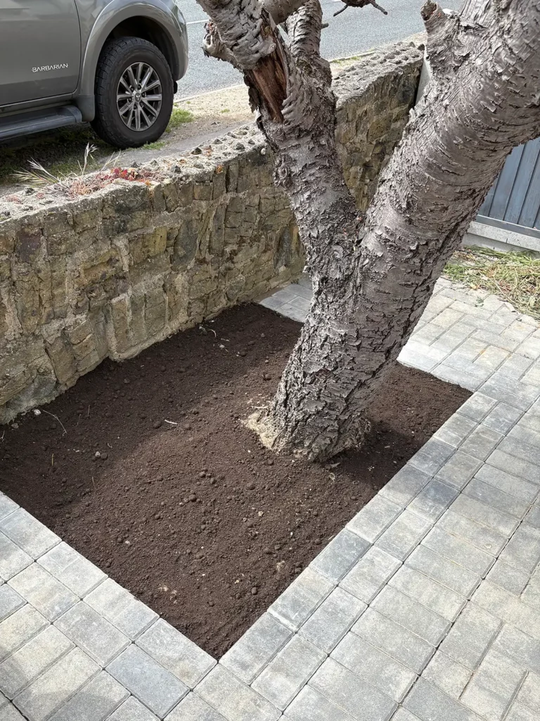 Small Landscaping Projects